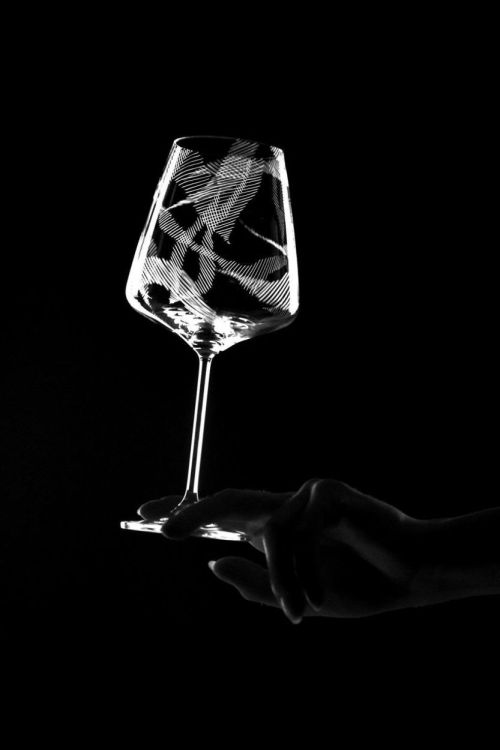 EVPAS glass Verre à Vin Rouge Echo 590ml (Transparant) - Panache (Koksijde)