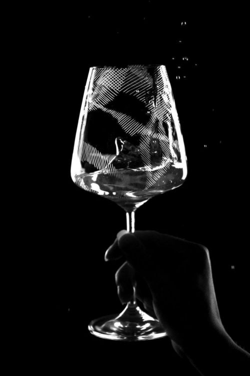 EVPAS glass Verre à Vin Rouge Echo 590ml (Transparant) - Panache (Koksijde)