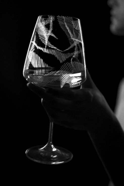 EVPAS glass Verre à Vin Rouge Echo 590ml (Transparant) - Panache (Koksijde)