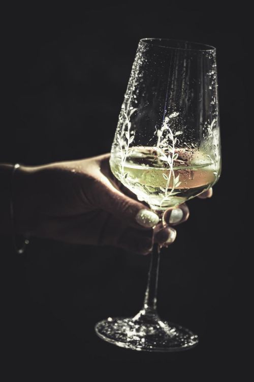 EVPAS glass Tender Rode wijnglazen 350ml (Wit) - Panache (Koksijde)