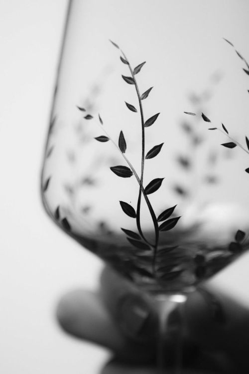 EVPAS glass Tender Rode wijnglazen 350ml (Zwart) - Panache (Koksijde)