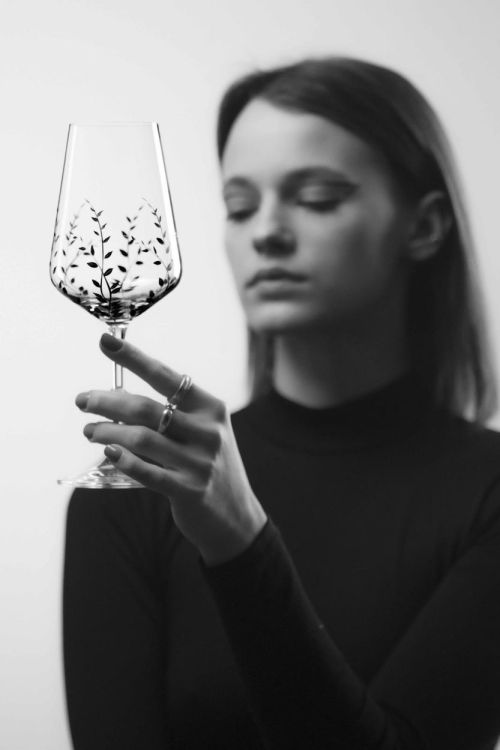 EVPAS glass Tender Rode wijnglazen 350ml (Zwart) - Panache (Koksijde)