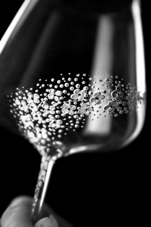 EVPAS glass Veil Witte wijnglas 590ml (Wit) - Panache (Koksijde)