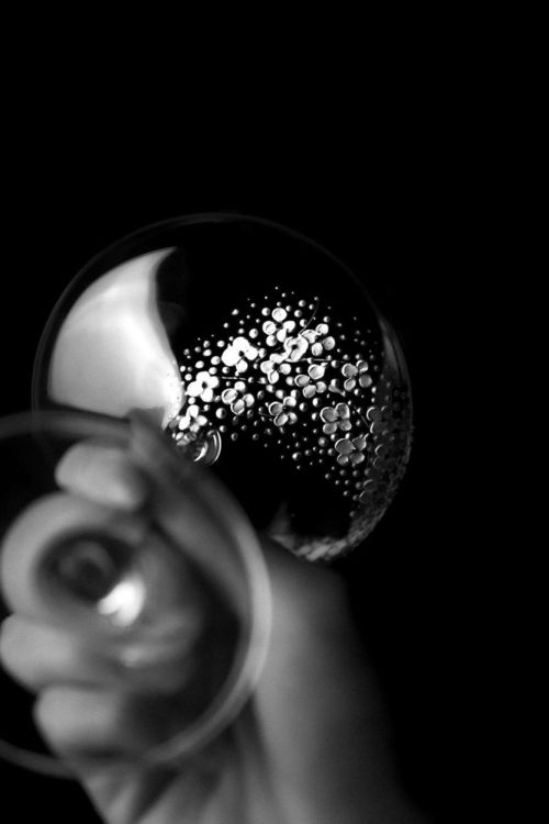 EVPAS glass Veil Witte wijnglas 590ml (Wit) - Panache (Koksijde)