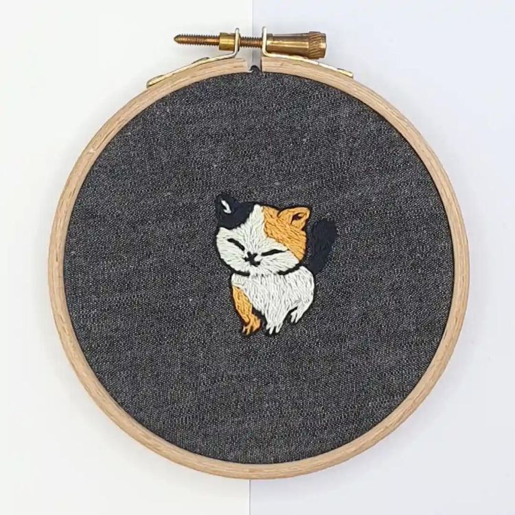 Fukuri Borduurset kat (Multi) - Panache (Koksijde)