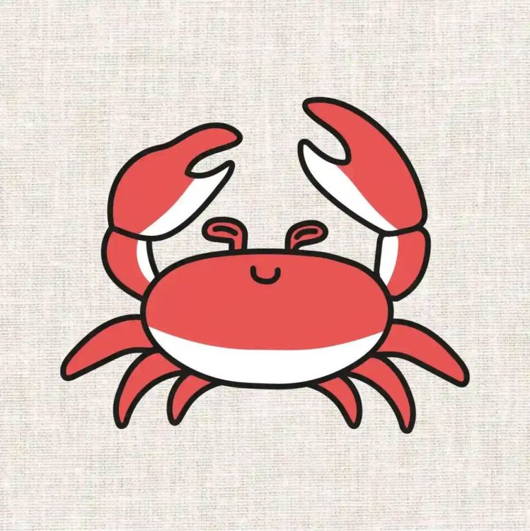 Fukuri Borduurset krab (Multi) - Panache (Koksijde)