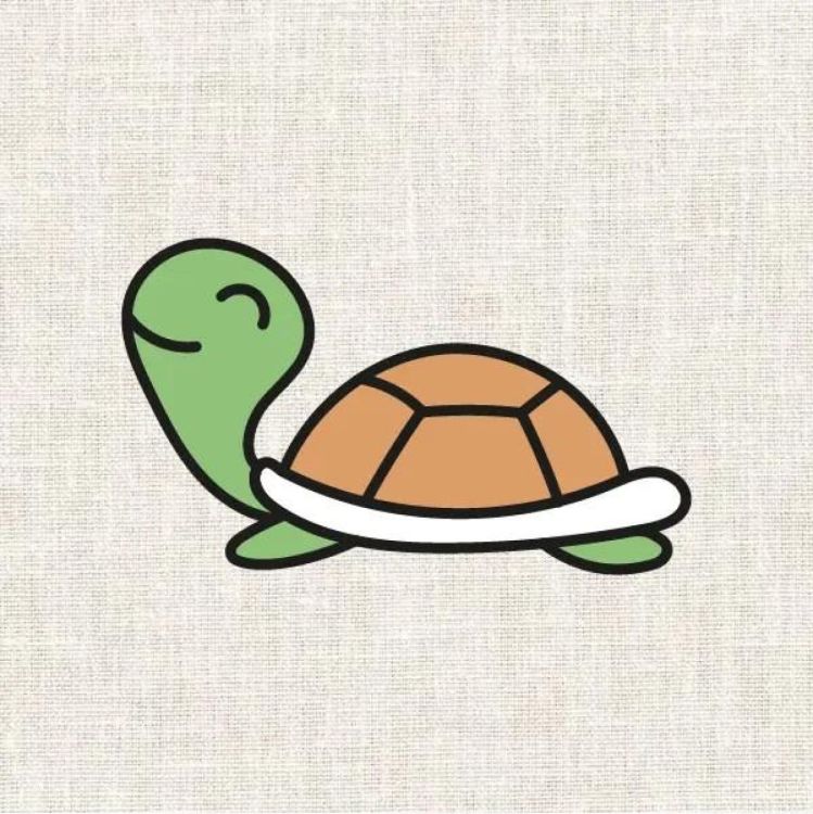 Fukuri Borduurset schildpad (Multi) - Panache (Koksijde)