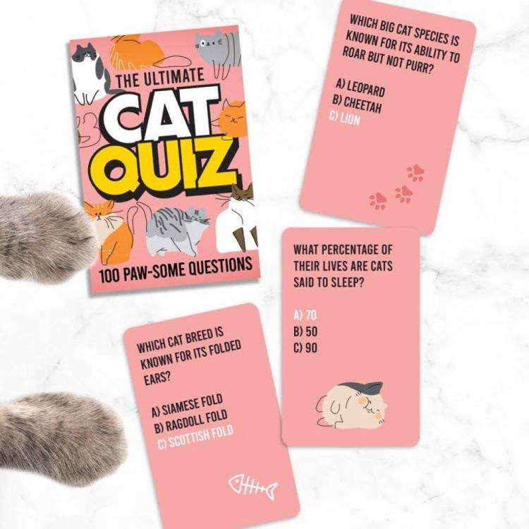 Gift Republic Cat Quiz Cards (ENG) () - Panache (Koksijde)