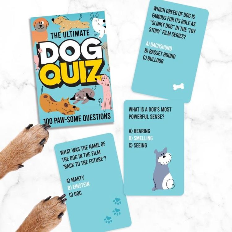 Gift Republic Dog Quiz Cards (ENG) () - Panache (Koksijde)