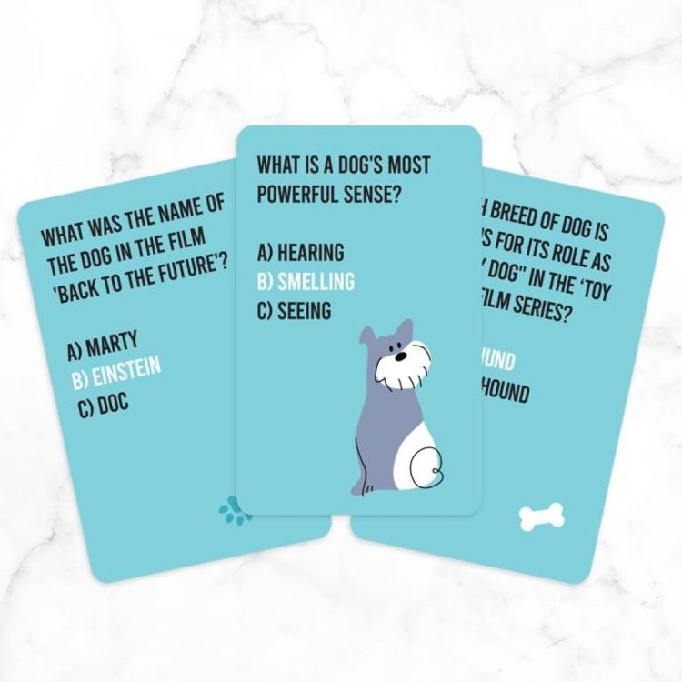 Gift Republic Dog Quiz Cards (ENG) () - Panache (Koksijde)