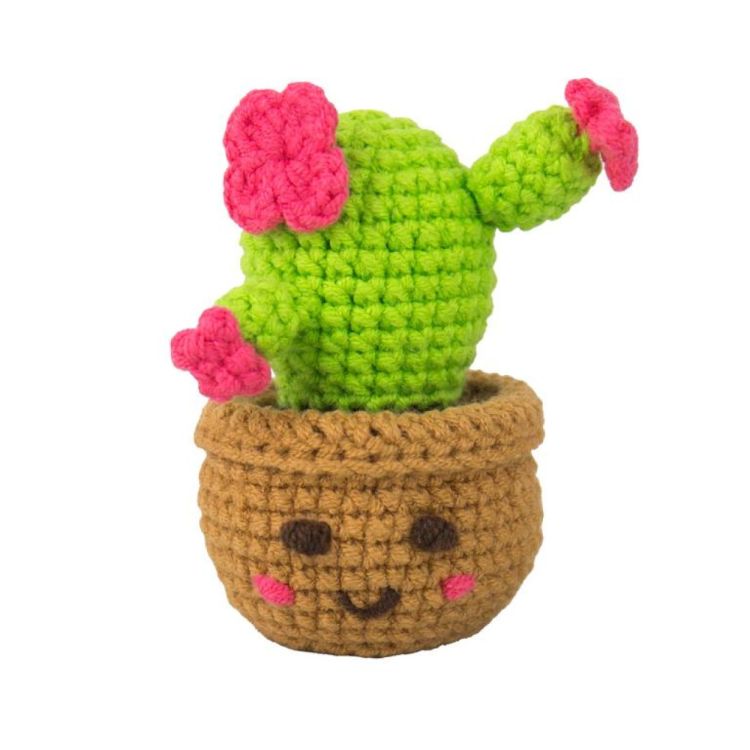 Gift Republic Pocket Crochet - Plants (Groen) - Panache (Koksijde)
