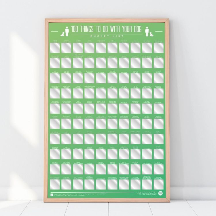 Gift Republic Scratch Poster - 100 Things To Do With Your Dog (Groen) - Panache (Koksijde)