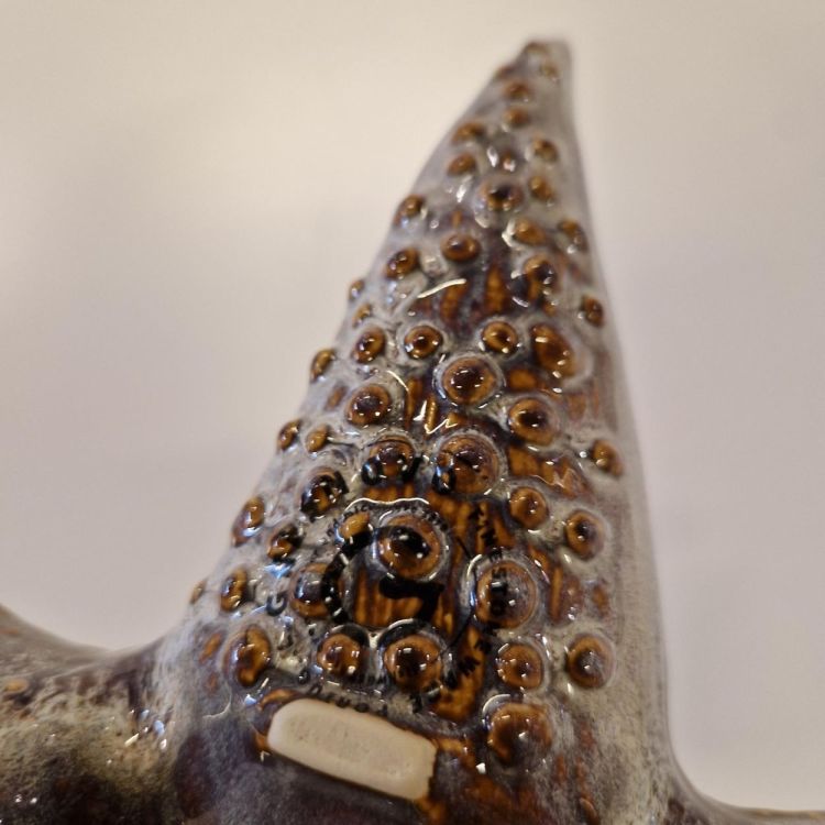 Gresnovo Marea tapas zeester - Lait Chocolaté (Lait Chocolaté) - Panache (Koksijde)