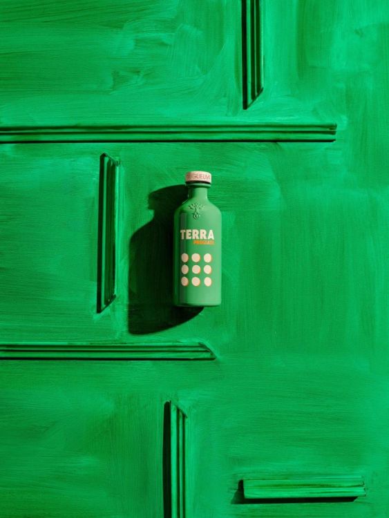 Guglielmi Tales - Terra Pregiata olijfolie 500ml (Groen) - Panache (Koksijde)