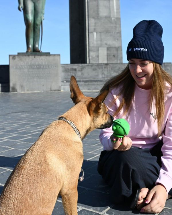 Hoptimist Hoptimist Beanie De Panne M by Panache (Green) - Panache (Koksijde)