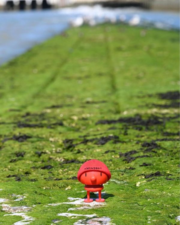Hoptimist Hoptimist Beanie Nieuwpoort M (Red) - Panache (Koksijde)