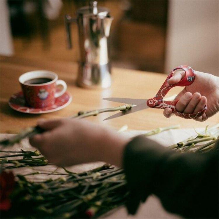 iittala Oiva Toikka schaar 21cm (Taika Red) - Panache (Koksijde)