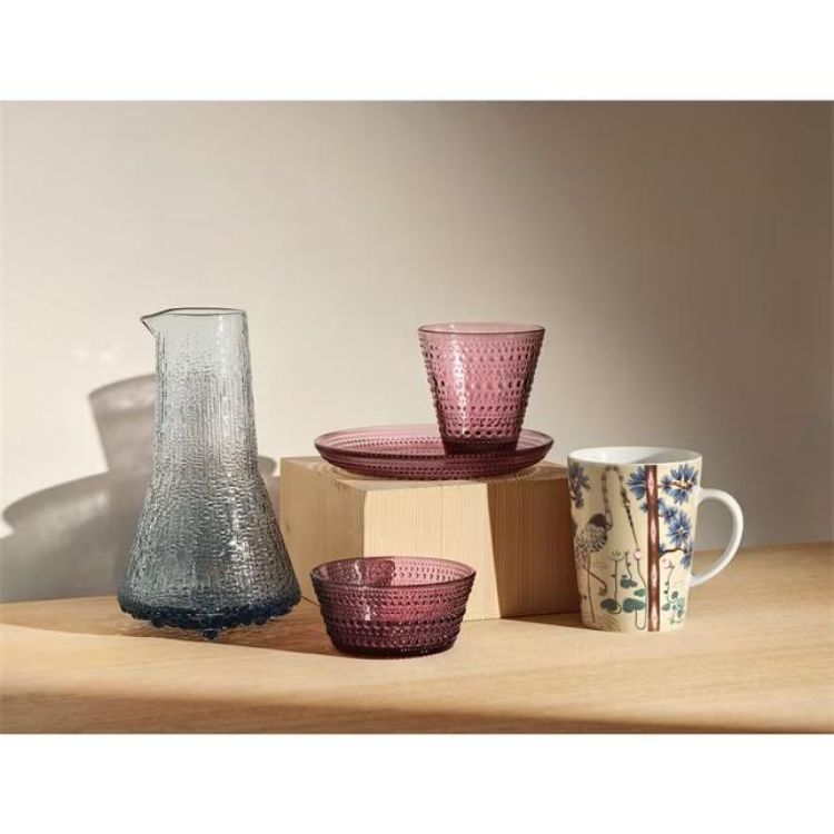 iittala Verre tumbler 30cl, set de 2 - Kastehelmi (Calluna) - Panache (Koksijde)