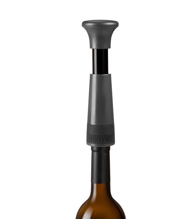 Innovine Pompe à vide (Grafiet) - Panache (Koksijde)