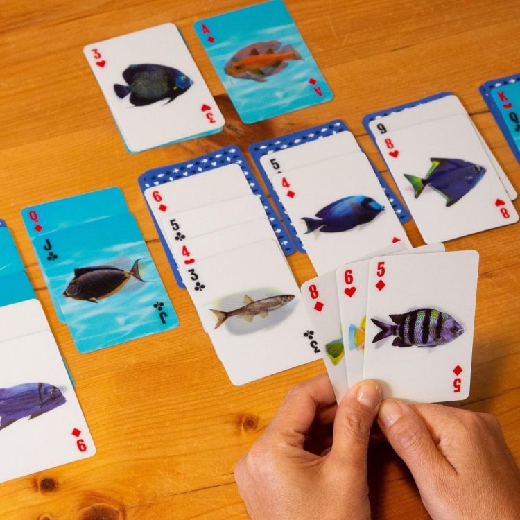 Kikkerland Jeu de Cartes 3D Poissons (Multi) - Panache (Koksijde)