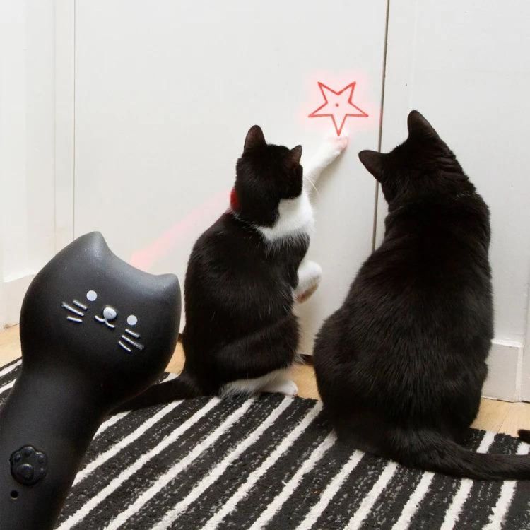 Kikkerland Kattenlaser Pounce & Play (Zwart) - Panache (Koksijde)