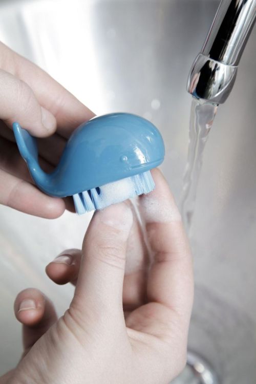 Kikkerland Brosse à Ongles Baleine (Assorti) - Panache (Koksijde)