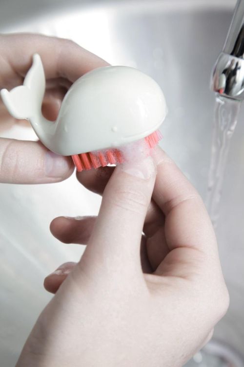 Kikkerland Brosse à Ongles Baleine (Assorti) - Panache (Koksijde)