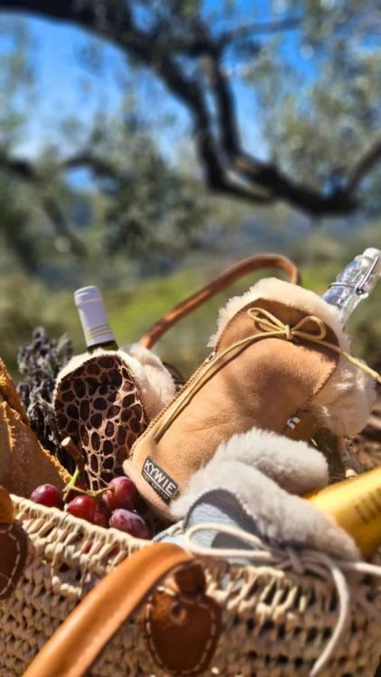 Kywie Champagne cooler suède Camel (Camel) - Panache (Koksijde)