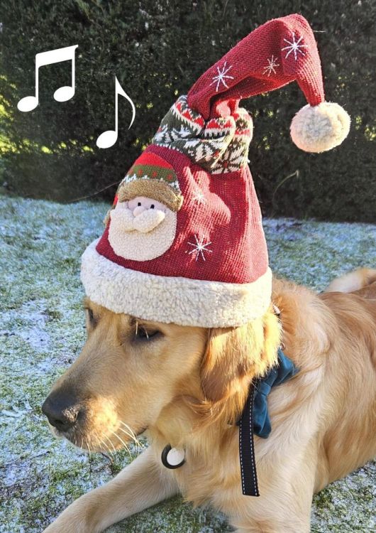 La Galleria Bonnet de Noël musical avec Père Noël 38 cm (Rood) - Panache (Koksijde)