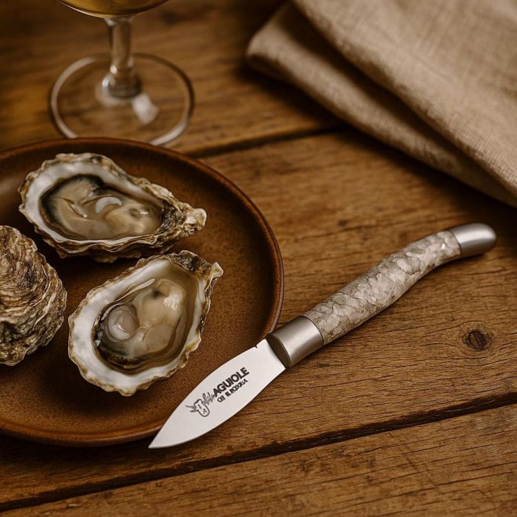 Laguiole en Aubrac Couteau à Huîtres en inox - Coquille de moule (Mossel) - Panache (Koksijde)