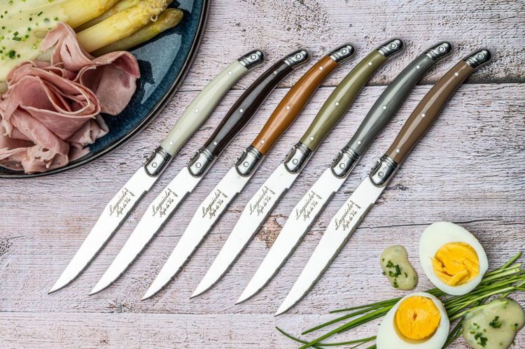 Laguiole Style de Vie 6 steakmessen Treasure Premium Line (Mixed) - Panache (Koksijde)