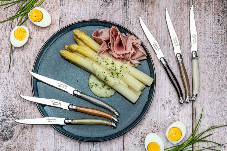 Laguiole Style de Vie 6 steakmessen Treasure Premium Line (Mixed) - Panache (Koksijde)