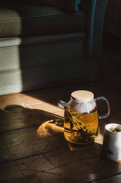 Lemon Poppy Tea Evergreen Glow - Mountain Tea (Multi) - Panache (Koksijde)