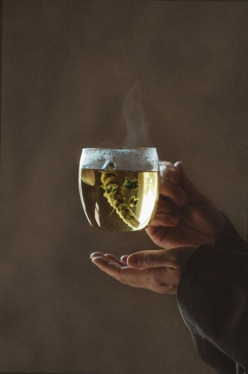 Lemon Poppy Tea Golden Calm - Mountain Tea (Multi) - Panache (Koksijde)