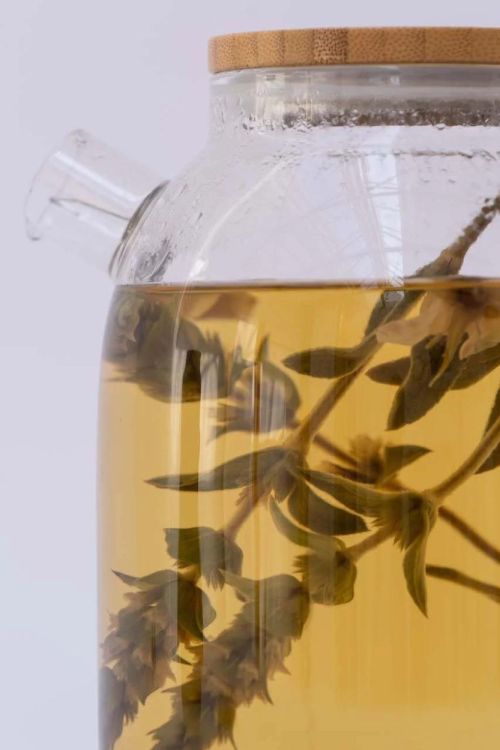 Lemon Poppy Tea Theepot voor losse thee 1,6l (Transparant) - Panache (Koksijde)