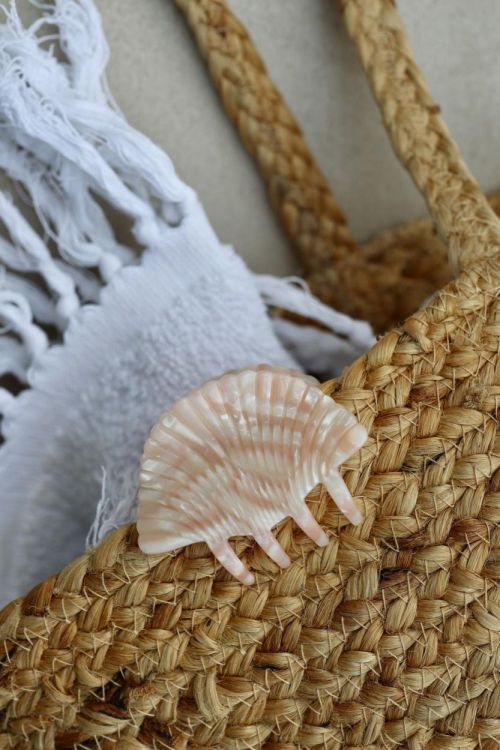 Liebly Haarclip mussel S (Soft Rose) - Panache (Koksijde)