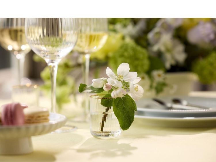 Lyngby Glass 6 Shotglazen 6cl Palermo Gold (Gold) - Panache (Koksijde)