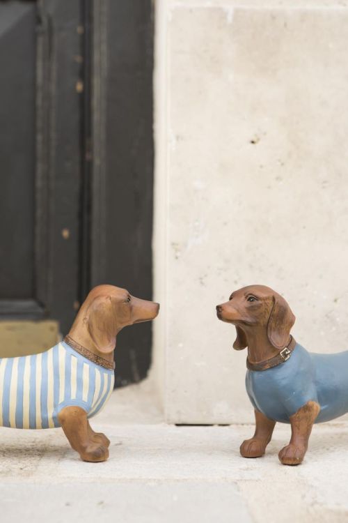 Mahe Homeware Dachshund Leon (Blue/White) - Panache (Koksijde)