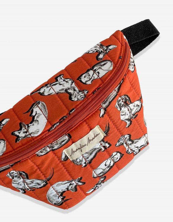 Marylène Madou Heuptasje Teckels 'Wiggle Doxies' (Orange) - Panache (Koksijde)