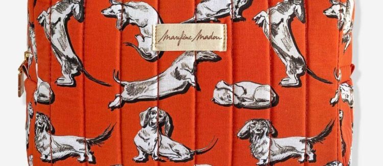 Marylène Madou Heuptasje Teckels 'Wiggle Doxies' (Orange) - Panache (Koksijde)