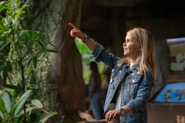 Mava Design Montre slap Koala (Lichtgroen) - Panache (Koksijde)