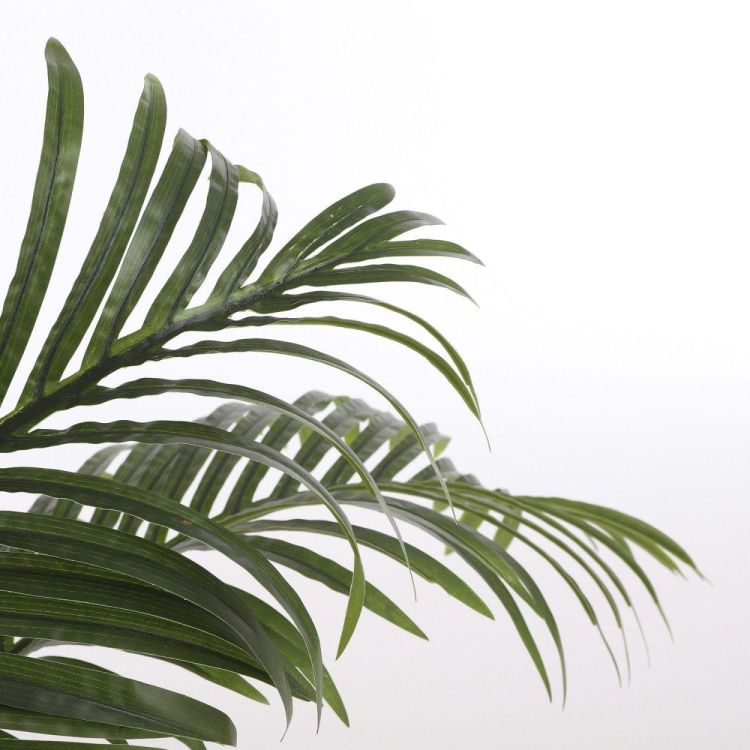 Mica Areca palm - h120xd60cm (Groen) - Panache (Koksijde)