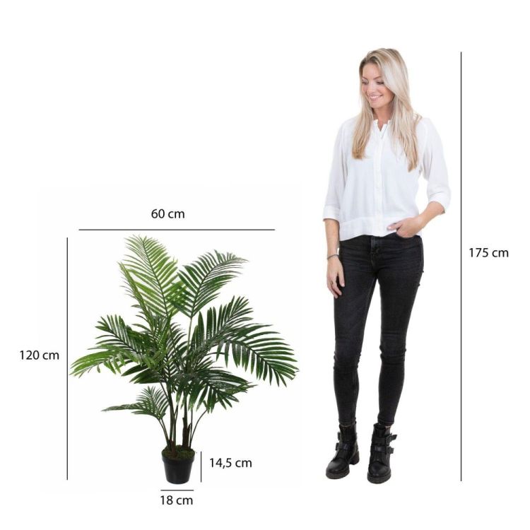 Mica Areca palm - h120xd60cm (Groen) - Panache (Koksijde)