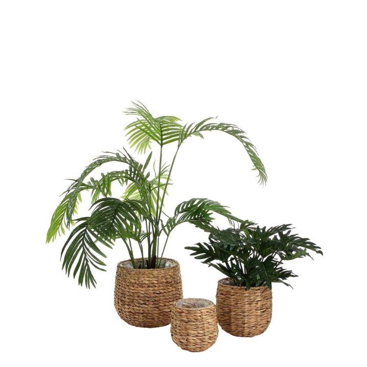 Mica Areca palm - h120xd60cm (Groen) - Panache (Koksijde)