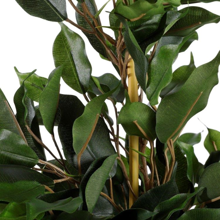 Mica FICUS EXOTICA PLANTE ARTIFICIELLE EN POT H60 X Ø35 CM (Groen) - Panache (Koksijde)