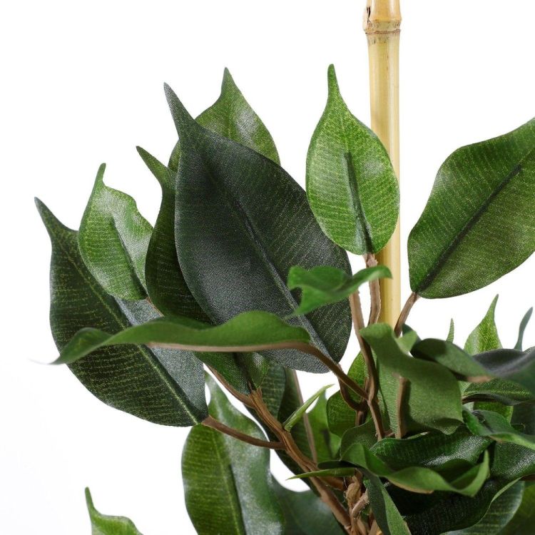 Mica FICUS EXOTICA PLANTE ARTIFICIELLE EN POT H60 X Ø35 CM (Groen) - Panache (Koksijde)