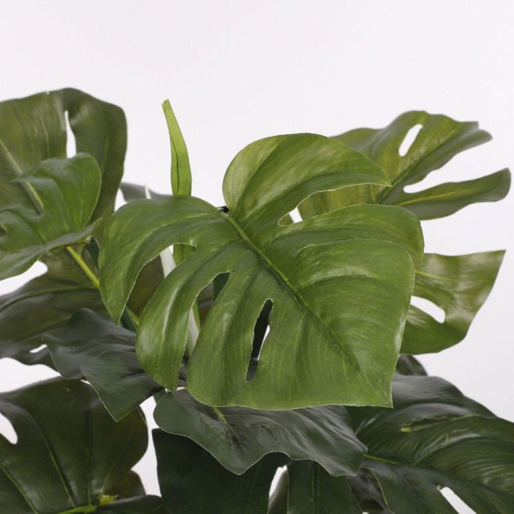 Mica Monstera d13,5cm - h48xd39cm (Groen) - Panache (Koksijde)