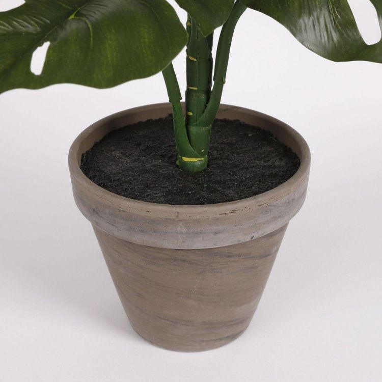 Mica Monstera d13,5cm - h48xd39cm (Groen) - Panache (Koksijde)