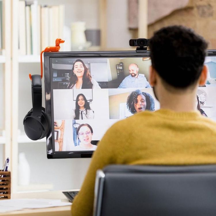 Monkey Business Rusty - schermhaak (Oranje) - Panache (Koksijde)