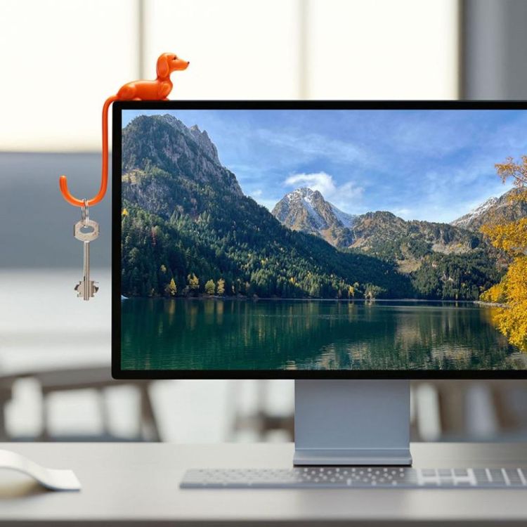 Monkey Business Rusty - schermhaak (Oranje) - Panache (Koksijde)